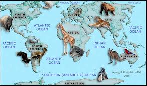 7 Continents Of The World Continents 7 Continents Geography