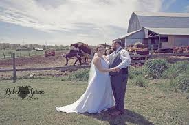 This beluga whale is blowing up after photobombing an aquareum wedding. 17 Photos Of Weddings So Disastrous They Ll Make You Laugh Until You Cry