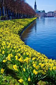 Dinzland Germany Travel Places To Go Beautiful Places