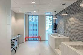 State Chestnut In Chicago Il Apartment Amenities Dog Grooming Salons Dog Hotel Pet Spa