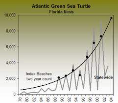 Surveys for this species are difficult because of the similarities with loggerhead crawls and hatchlings, and because the nesting season for the Caribbean