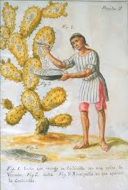 Also see how to check your. Cochineal Wikiwand