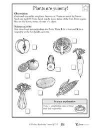 Our games and project ideas are the perfect fusion of learning and fun. Plants Are Yummy Science Kindergarten Worksheets Free Science Worksheets Kindergarten Worksheets Free Printables