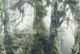 We did not find results for: Optical Illusions Find The Hidden Animals In The Rainforest Scene360