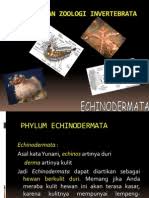 Maybe you would like to learn more about one of these? Zoologi Invertebrata Pdf Siswapelajar Com