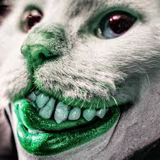 Profile for Leo Hart