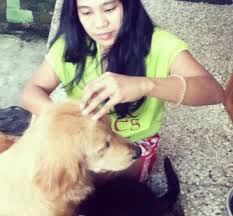 Kutu caplak adalah musuh terbesar untuk anjing. 5 Cara Menghilangkan Kutu Anjing Paling Efektif Hobinatang