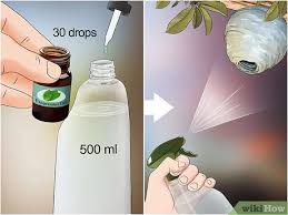 How does vinegar get rid of wasps. 4 Ways To Get Rid Of Wasps Wikihow