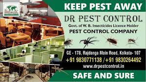 Are you looking for a reliable and the best pest control service provider in kolkata for your home? Dr Pest Control Best Pest Control Service Provider In Kolkata Best Pest Control Service Provider In Kolkata