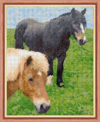 Shop horse cross stitch patterns today! Grey Horse Shetland Pony 14 Count Cross Stitch 8 X 10