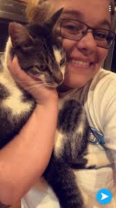 Missing cat in Phillipsburg area, South Main St