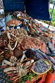 Fresh Fish Seafood Market Fresh Fish Seafood
