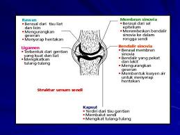 Jika anda menguasai teknik ini, maka anda bisa bercinta lebih. Bab 2 Struktur Tubuh Ppt Download