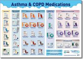 In the realm of inhalers. Ø­Ø§ÙØ© ÙˆØ³Ø§Ø¦Ù„ Ø§Ù„ØªØ±ÙÙŠÙ‡ Ù…Ù‚Ø§Ø¨Ù„ Copd Puffers Cazeres Arthurimmo Com