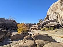 But not far from this spot, you can find another historical spot: Barker Dam California Wikipedia