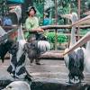 Anda sering menjumpai banyak orang yang mengunjungi kebun binatang saat hari libur ketika cuacanya bagus. Https Encrypted Tbn0 Gstatic Com Images Q Tbn And9gct2txt Illzl6yxkssuqwravkgyfxiwqn9q7inm0tc Usqp Cau