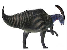 Parasaurolophus Dinosaur Tail Digital Art By Corey Ford The parasaurolophus' nostrils (at the end of its snout) went up through the crest and back down it, forming four tubes. parasaurolophus dinosaur tail by corey ford