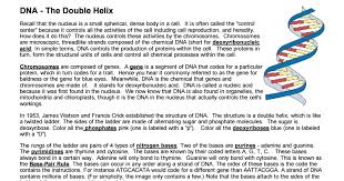 Copy Of Dna The Double Helix Coloring Worksheet Pdf Double Helix Life Science Helix