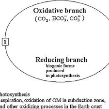 Image result for Centemopsis trinervis