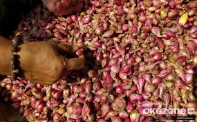 Cara menanam bawang merah sendiri di rumah dengan mudah, parents pasti bisa mencobanya! Cara Budidaya Bawang Merah Yuk Simak Tipsnya Okezone Economy