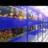 Pet shops near me is the ultimate pet store locator and youll find that you never need to waste another fruitless moment searching in vain for the right pet store for you and your animal companion. 1