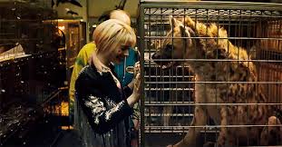 Harley Quinn Birds Of Prey Gif Https Encrypted Tbn0 Gstatic Com Images Q Tbn 3aand9gcsfq4ms5 Gzmeysknvpxyaosasm1wygkqopva Usqp Cau