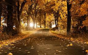 Beautiful Highresolution Desktop Wallpapers 1680 1050 High Res Wallpaper 56 Wallpapers Adorable Wallpapers Autumn Scenery Autumn Scenes Scenery