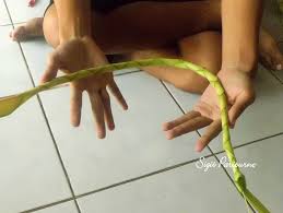 Maybe you would like to learn more about one of these? Manfaat Daun Kelapa Untuk Kehidupan Sehari Hari Dan Penghasilan Tambahan
