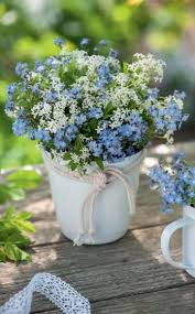 Waldmeister Deko Ideen Zum Nachmachen Beautiful Flowers Images Flower Care Beautiful Flowers