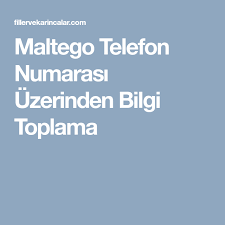 Maltego Telefon Numarasi Uzerinden Bilgi Toplama Filler Ve Karincalar Bilgi Telefonlar Linux