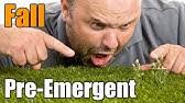 Growing a gorgeous lawn can be easy with bioadvanced lawn care. Crabgrass Split Applications Why I Recommend 2 Apps Vs 1 Youtube