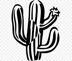 The best selection of royalty free cactus black and white vector art, graphics and stock illustrations. Clip Art Black And White Vector Graphics Image Illustration Png 557x700px Black And White Artwork Cactus