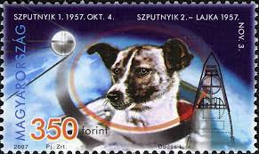 Pin On Laika