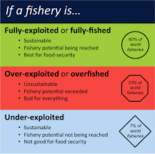 How Many Fisheries Are Overfished Sustainable Fisheries Uw