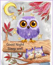 Pin By Tisha On Night Owl Pictures Owl Artwork Bird Art