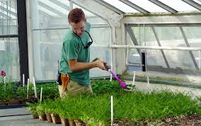 Businesses listed are independent businesses that are not affiliated with nurserytrees.com, llc, and we make no representation of the accuracy or completeness of the information, or the quality or abilities of any business listed. Internships Seed Your Future