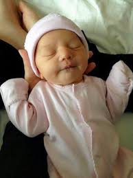 Pestalozzi-Schule-Hamburg.de