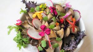 We did not find results for: 10 Ornamental Flowers You Can Cook With Or Eat In Salads Newsvot