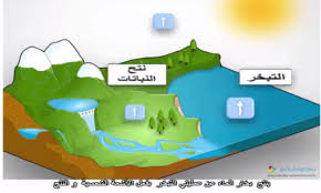 ملخص درس دورة الماء واستعمالاته للسنة الأولى ثانوي إعدادي فيديو توضيحي
