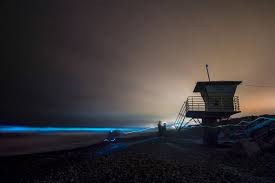 50 lukisan pemandangan alam gunung laut dan pantai. Langka Ombak Di Lautan California Berwarna Biru Neon