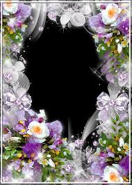 Perennial flower garden colorful | plant & flower stock photography: Photo Frame Magic Garden Free Photo Frame Psd Free Download