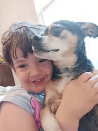 Missing dog alert in Moreno Valley, California