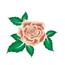 Gulab Phool Ka Drawing Photo Gulab phool ,rose ,red colour flower. gulab phool ka drawing photo