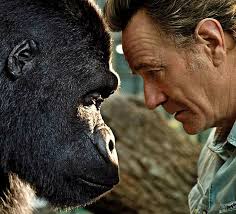 In this video you can find out the official cast of the one and only ivan (2020). From Bryan Cranston In The One And Only Ivan To Succession The Best On Demand Tv This Week Daily Mail Online