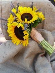 Photo by arthur g photography. 14 Lavender Sunflowers Ideas Sunflower Lavender Flowers