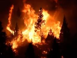 En la zona rionegrina de el bolsón, miles de hectáreas fueron arrasadas por un inmenso incendio y amenazaba. Pudieron Controlar El Incendio En El Bolson Mejor Informado