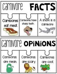 Carnivore Herbivore Omnivore And Food Chain Anchor Charts