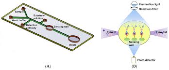 Why has only the kit by the company sd biosensor been allowed? Biosensors Free Full Text Rapid Detection Of Food Allergens By Microfluidics Elisa Based Optical Sensor Html