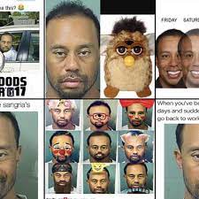 Tiger Woods Best Mugshot Memes Athlonsports Com Expert Predictions Picks And Previews