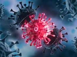 Jun 22, 2021 · india has reported a new delta plus coronavirus variant of concern, officials have said. Covid 19 All You Need To Know About The Delta Plus Variant India News Times Of India